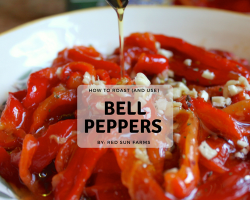 How to Roast (& Use) Bell Peppers